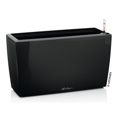 Cararo Pot Planter