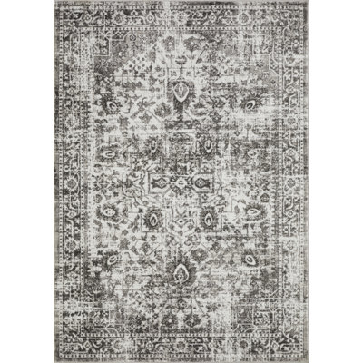 Raghdah Oriental Indoor Rug