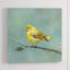 Baby Bird II Painting by Beverly Fuller-26928965-26928962