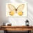 Butterfly Memento-107959698