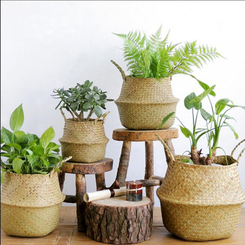 Pot à fleurs Chertsey, H 7,87 po x l 8,66 po x P 7 po