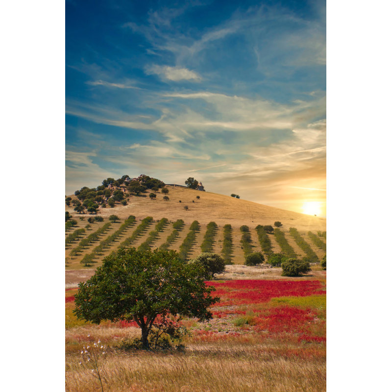 Contryside Landscape In Mertola by Juanorihuela - Wrapped Canvas Print, 46cm H x 30cm W