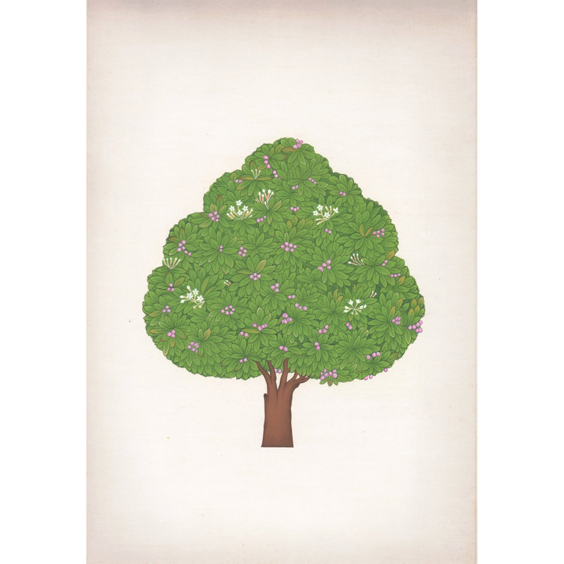 Miniature botanique | Pigments naturels sur papier | Par Muhammad Waseem