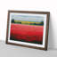 Artful Monkey - Single Picture Frame Print-2007962523-2007962519