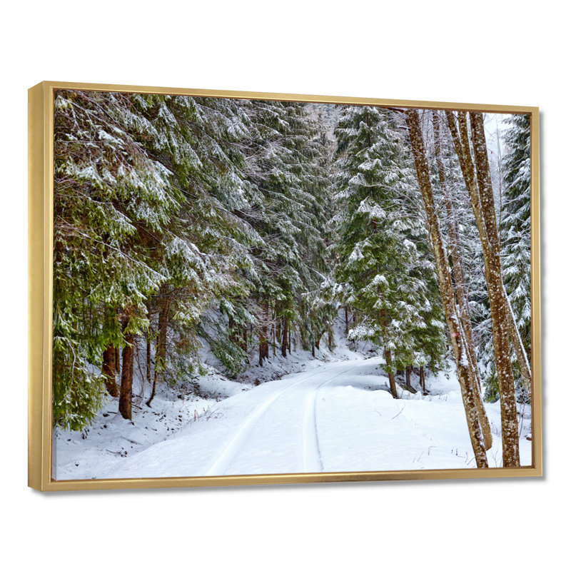 «Winter Forest», reproduction d'art sur toile, route enneigée dans la forêt, H 16 po x l 32 po, Cadre flottant, Doré