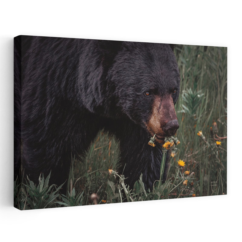 Contemporary Art Contemporary Bear Portrait Art by Nathan Larson - Wrapped Canvas Print, 60.96 cm H x 91.44 cm W