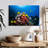 Brampt Underwater Red Sea Life-107857153