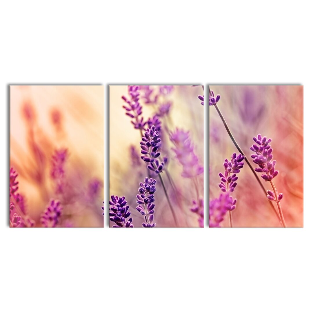 3-tlg. Leinwandbilder-Set Elegant Lavender