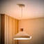 Dekota 1 - Light Walnut Pendant-18498346-18498347