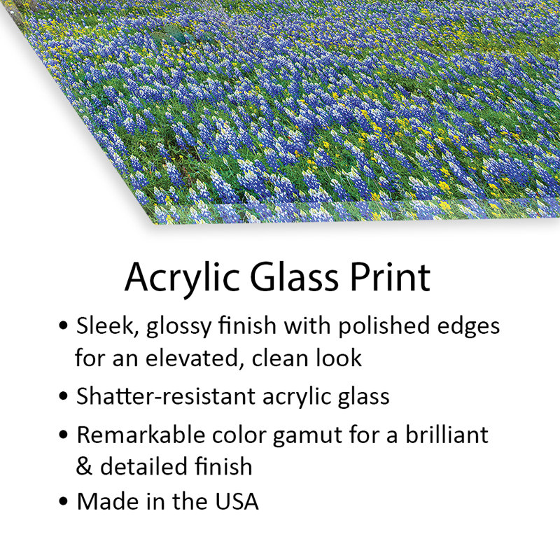 Sable Bluebonnet Field at Edge of Forest, Texas - peinture sans cadre