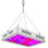 CG INTERNATIONAL TRADING Grow Light