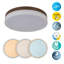 Deissy LED Flush Mount