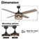 Strasser 52'' Ceiling Fan with Light Kit