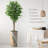 75 " H Faux Ficus Tree in Plastic Pot