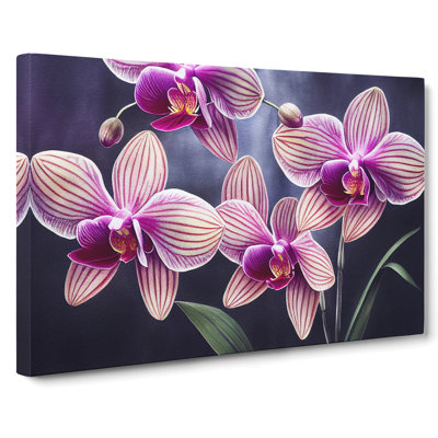 Enticing Orchid Flowers - Wrapped Canvas