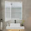 30X20 Inch LED Bathroom Medicine Cabinet Surface Mounted Cabinets With Lighted Mirror  White Left Open
