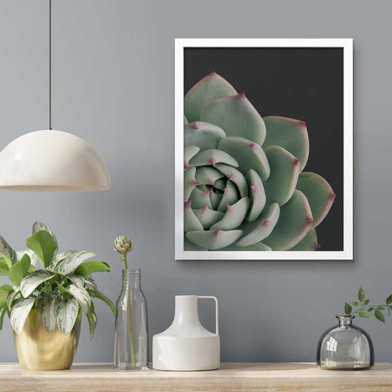 «Cactus Succulent Close Up Southwest Red Trip Green» sur papier, Blanc, H 10 po x l 8 po