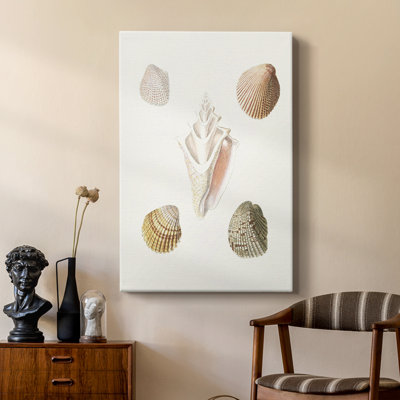 Pastel Knorr Shells