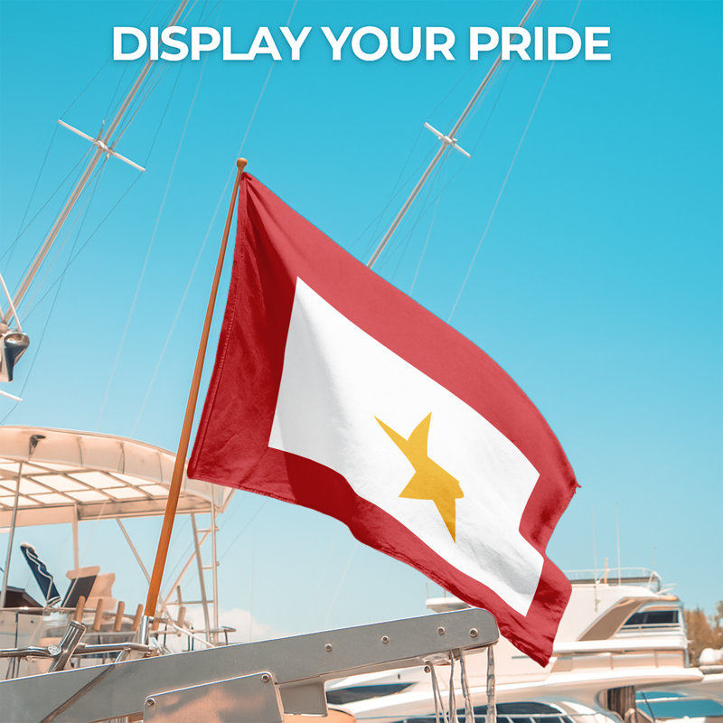 Drapeau familial Gold Star pour extérieur (122 x 183 cm) - Polyester durable et résistant à la décoloration, double couture, œillets en laiton - Impression HD - Drapeau de service civil - Fabriqué aux États-Unis