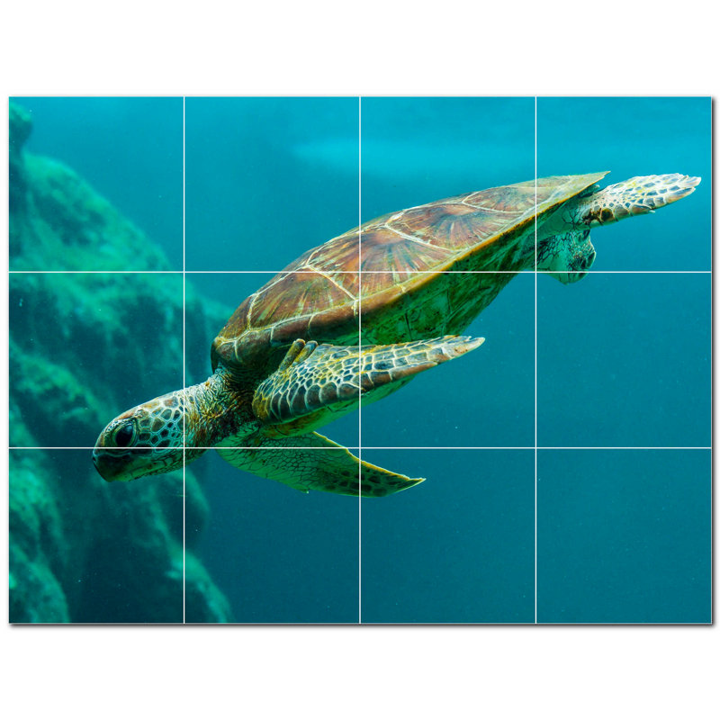 Murale en céramique satinée 8 po x 8 po Turtle Photo
