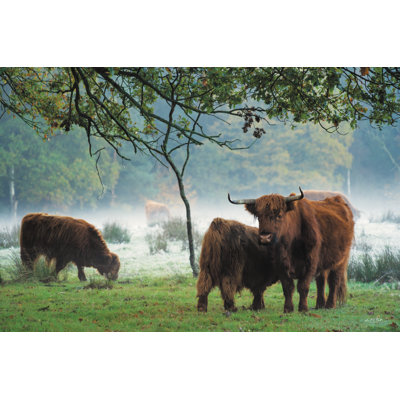 «Scottish Highlanders on Canvas» par Martin Podt, reproduction