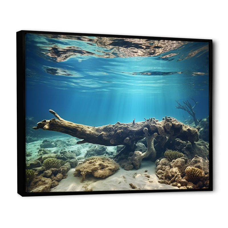 Corail au bord de la mer - plage et océan, impressions sur toile, Cadre flottant noir, H 30 po x l 40 po x P 1,5 po