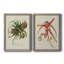 Toile encadrée Elegant Tropicals-631182286-631182273-631029217