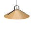 Strap 1 - Light Pendant-211666448