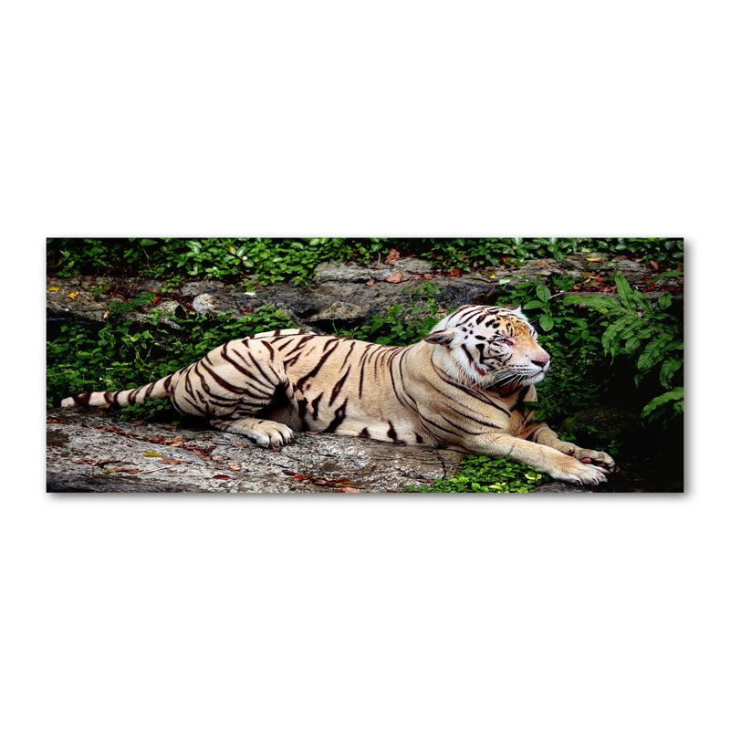 Tiger On The Rock - Print on Canvas, 70cm H x 100cm W, Glass