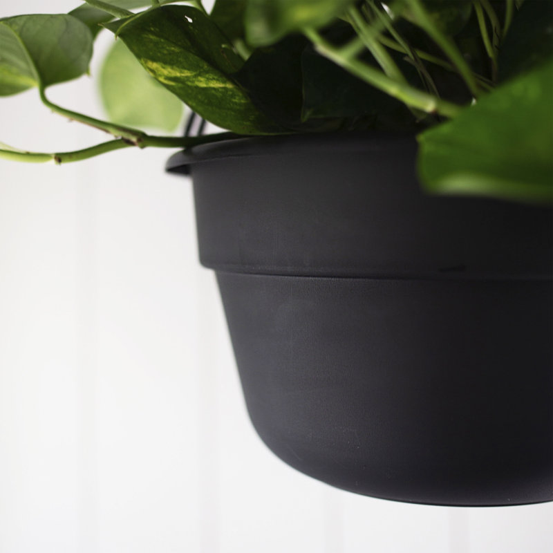 Dura Cotta Traditional Self-Watering Plastic Indoor/Outdoor Hanging Basket Planter with Macrame Cord, Black