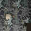 Photos des clients 3 de 3