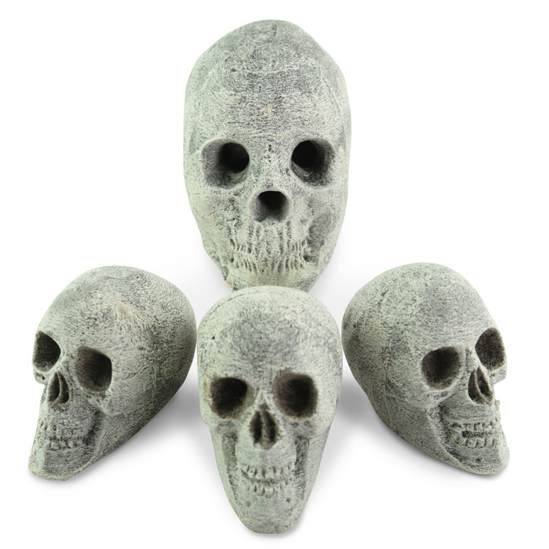 Roche foyer foyer Ceramic Skulls
