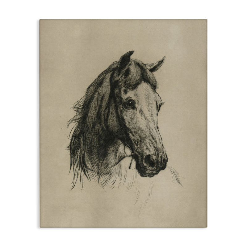 «Charcoal Horse Portrait», art mural par Arlington Prints, H 16 po x l 20 po