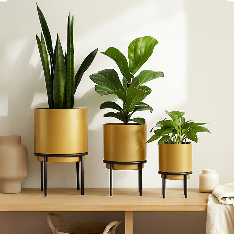 Alawna Metal Plant Stand, 34cm H x 22cm W x 22cm D, Gold