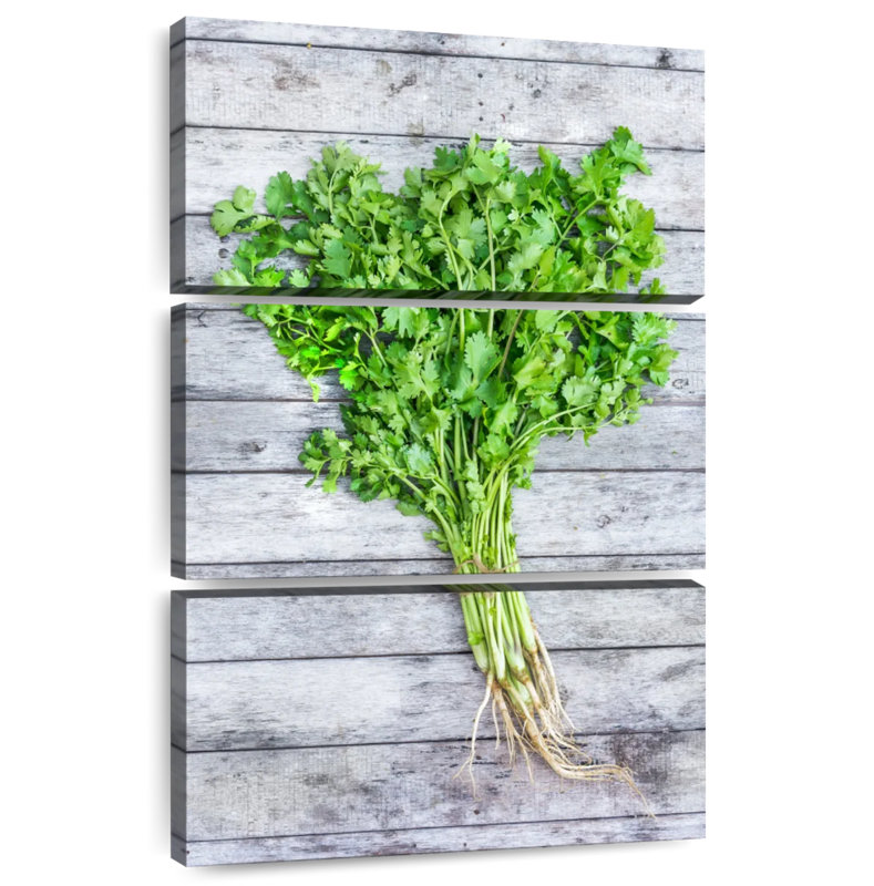 Harnek Cilantro, 45" H x 28" W