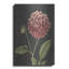Art mural en métal «Dahlia» par Winston Porter-953525486