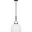 Richard June Transitional Liora Pendant Light-1961089408-1961089435-1961089439