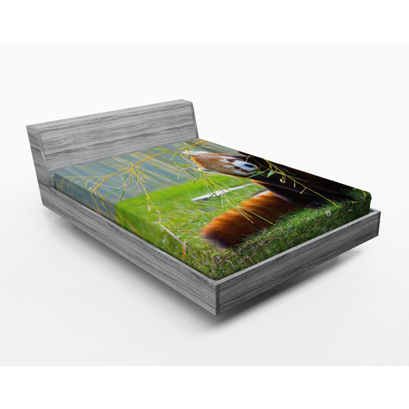 Microfiber Fitted Sheet, Full/Double Fitted Sheet