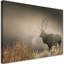 Deer in the Foggy Nature 1 Piece Wall Art on Canvas-98483881