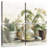 Harnek Greenhouse Orchids IV-109154520
