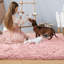 Kyrique Area Rug-871382581