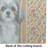 Grey and White Tibetan Spaniel Heirloom Fall Glass Cutting Board