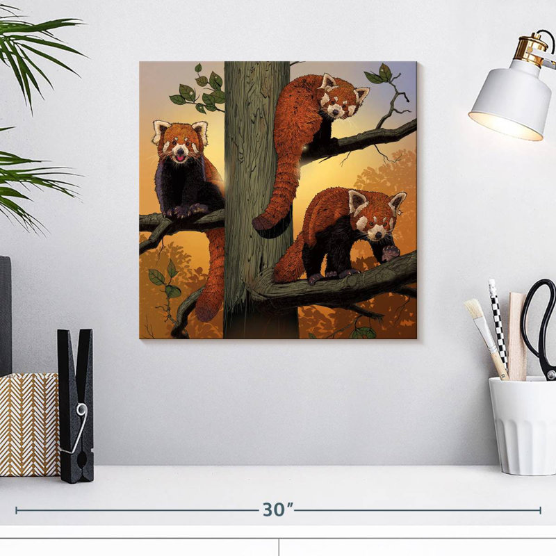 Red Pandas