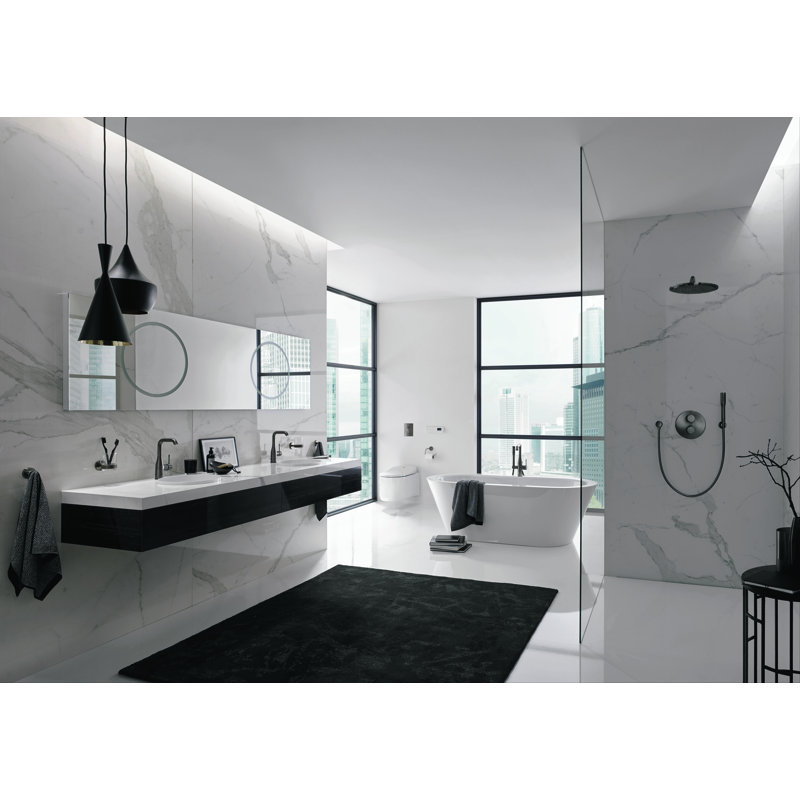 GROHE Essence Single Hole Bathroom Faucet with Single Handle, Size Large, Brushed Nickel Infinity