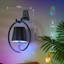 Cannus Armed Sconce