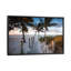 «Beach Sunrise, Key West I» par Matteo Colombo - reproduction de photo-52465044-52465052