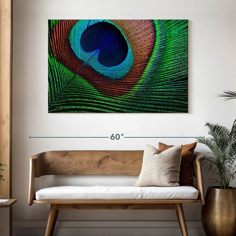 Fine Peacock Feather, 32" H x 48" W