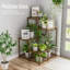 Cardier Plant Stand