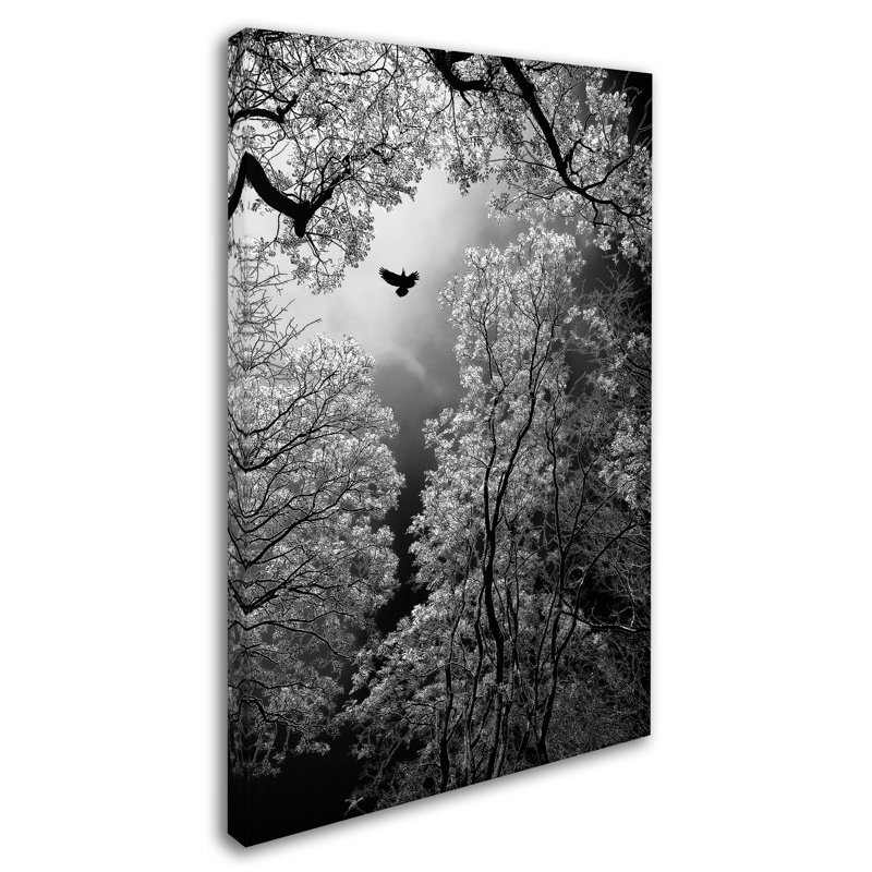 « flight », reproduction de photo sur toile tendue, H 19 po x l 12 po