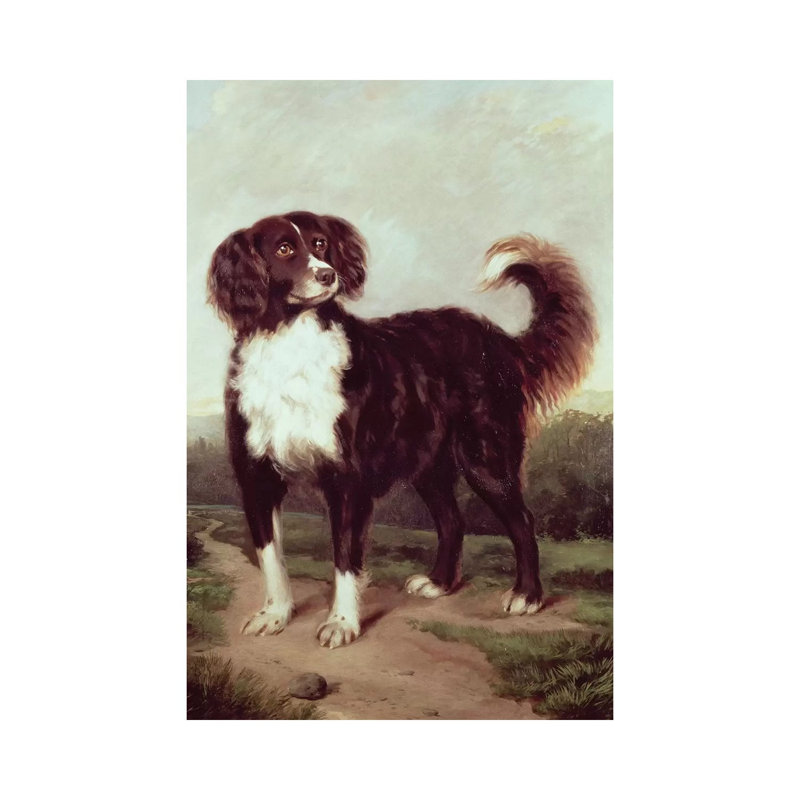 Spaniel by J.W. Morris - Wrapped Canvas Gallery-Wrapped Canvas Giclée, 20.32 cm H x 30.48 cm W